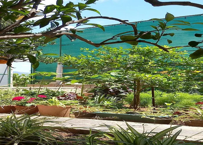 Kata - Two-bedroom With Balcony * Lumbarda