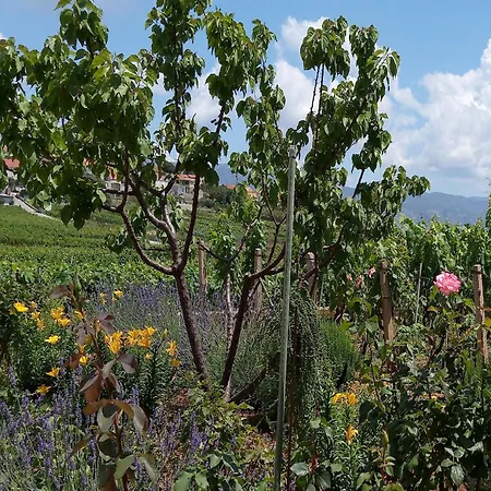 Ferienhaus Kata - Two-bedroom With Balcony