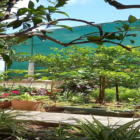 Kata - Two-bedroom With Balcony * Lumbarda